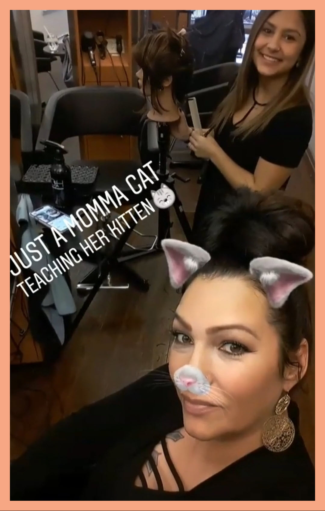 Momma Cat Training Image